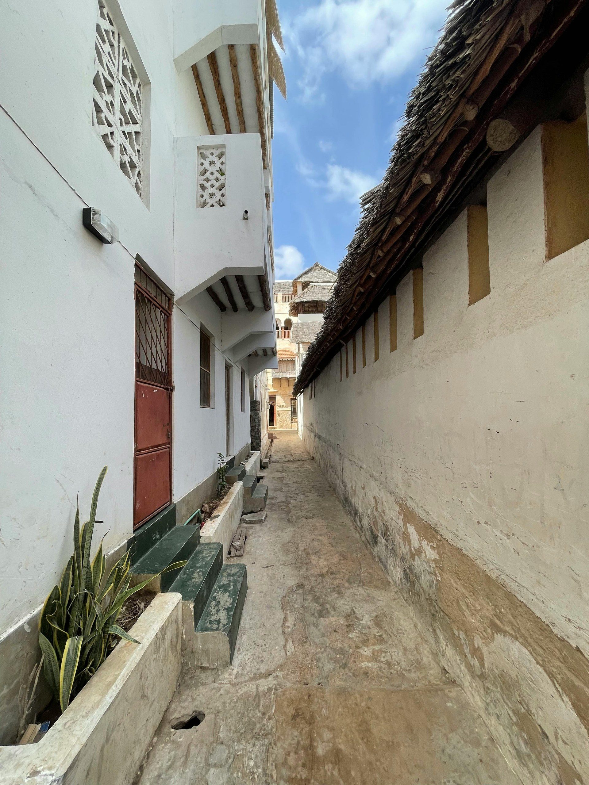 Evento cultural en Lamu